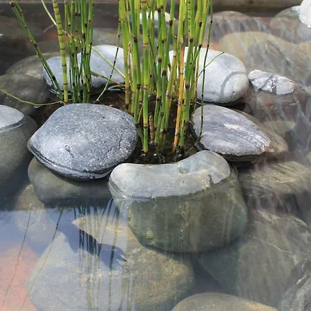 Le Du Presbytere Herzeele