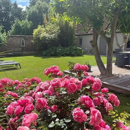 Le Du Presbytere * Herzeele