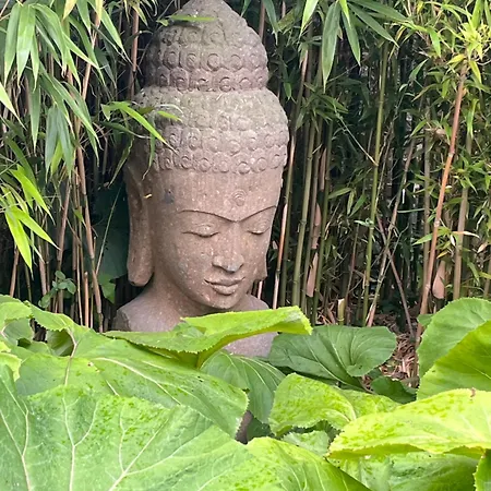 Le Du Presbytere Casa vacanze Herzeele